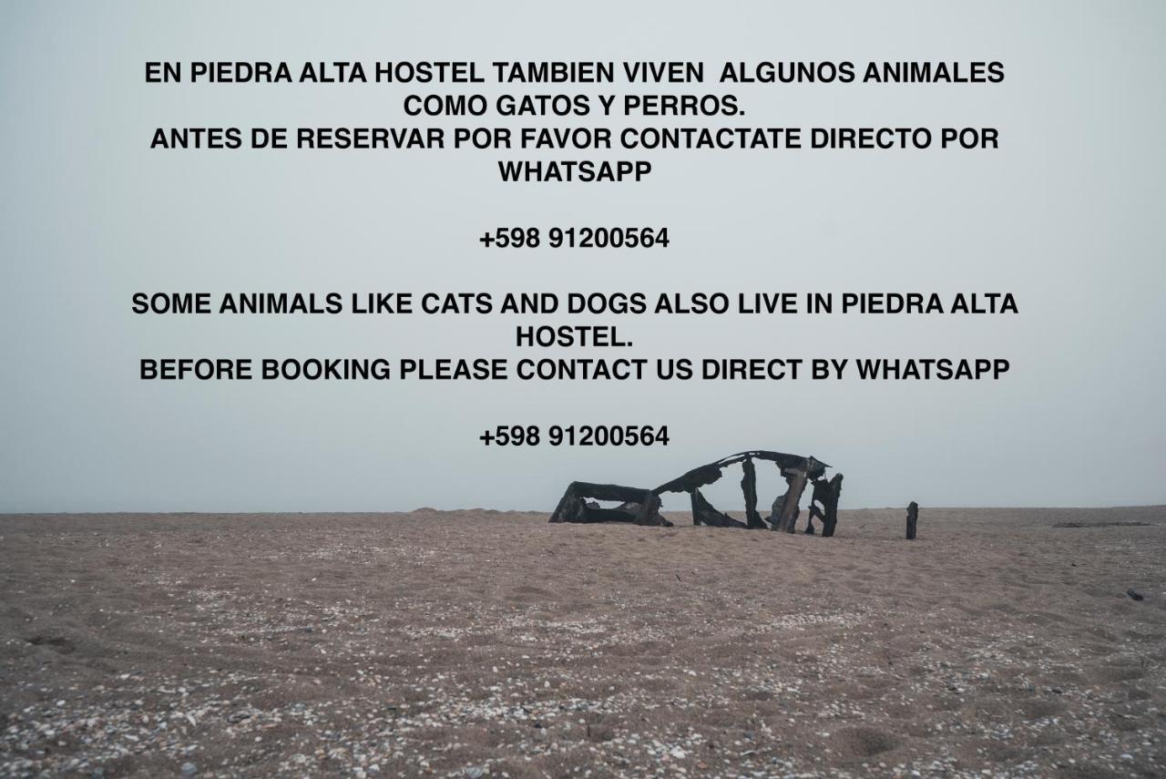 Piedra Alta Hostel & Suites La Pedrera Bagian luar foto